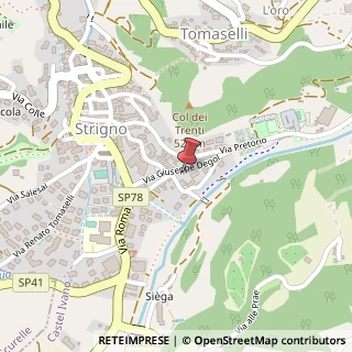 Mappa Via Degol, 36, 38059 Borgo Valsugana, Trento (Trentino-Alto Adige)