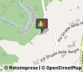 Bed e Breakfast,32030Belluno