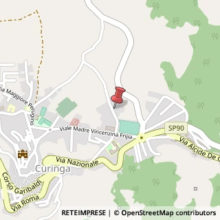 Mappa Via Municipio, 50, 88022 Curinga, Catanzaro (Calabria)