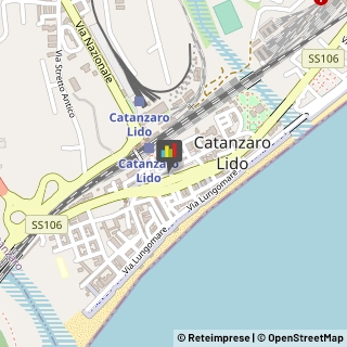 Piante e Fiori - Dettaglio,88100Catanzaro