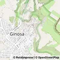Kort Ginosa