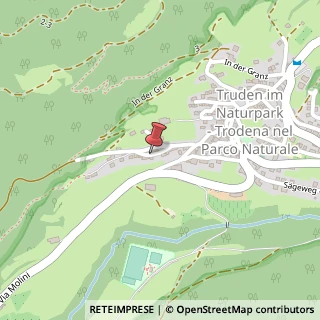 Mappa Via Kruegen, 15, 39040 Trodena nel parco naturale, Bolzano (Trentino-Alto Adige)