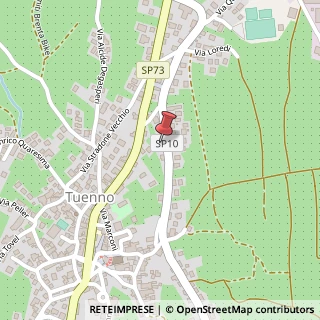 Mappa Via Enrico Leonardi, 29, 38019 Tuenno, Trento (Trentino-Alto Adige)