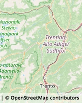 Imprese di Pulizia Termeno sulla Strada del Vino,39040Bolzano