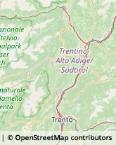 Gioiellerie e Oreficerie - Dettaglio Mezzolombardo,38017Trento