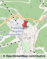 Via Pradalago, 17,38086Pinzolo