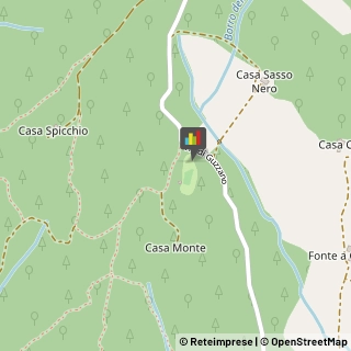 Miele Montemurlo,59013Prato