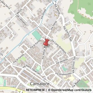Mappa Via Sterpi, 24, 55041 Camaiore, Lucca (Toscana)