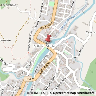Mappa Via Nicoloº Gentili, 4, 47018 Santa Sofia, Forlì-Cesena (Emilia Romagna)