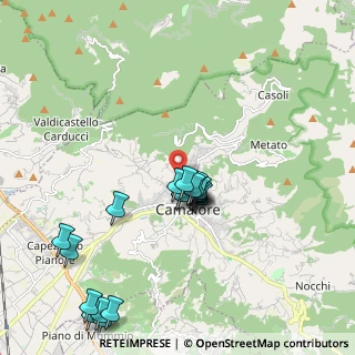 Mappa Via dei Coltivatori, 55041 Camaiore LU, Italia (2.044)
