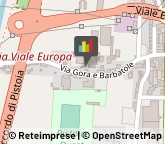 Elettrauto Pistoia,51100Pistoia