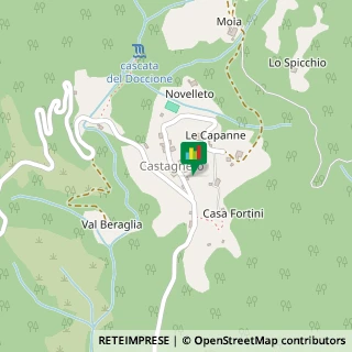 Località Castagneto, 29,50060San Godenzo