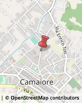 Via Sterpi, 24,55041Camaiore