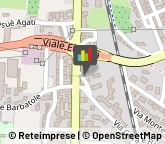 Elettrauto Pistoia,51100Pistoia