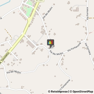 Trasporti con Containers Rimini,47843Rimini