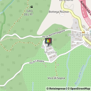 Aziende Agricole,50041Firenze