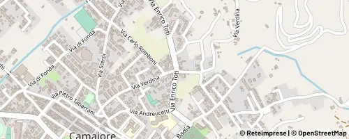 Mappa Camaiore