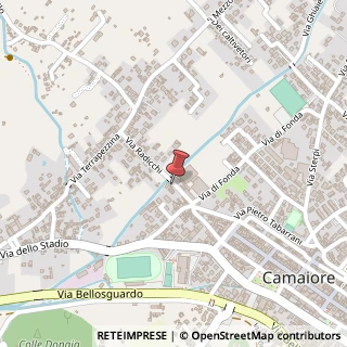 Mappa Via Radicchi, 22, 55041 Camaiore, Lucca (Toscana)