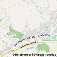 Map Camaiore