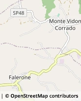 Cereali e Granaglie Monte Vidon Corrado,63836Fermo