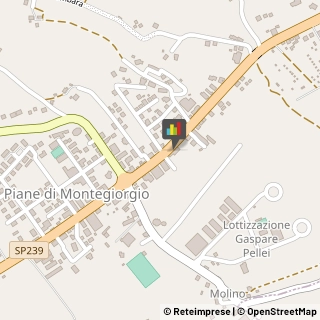 Alimenti Surgelati - Dettaglio Montegiorgio,63833Fermo