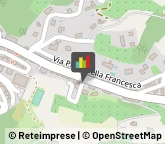 Palestre e Centri Fitness Perugia,06125Perugia