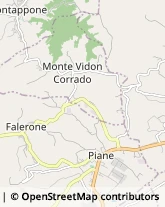 Aziende Agricole Monte Vidon Corrado,63836Fermo