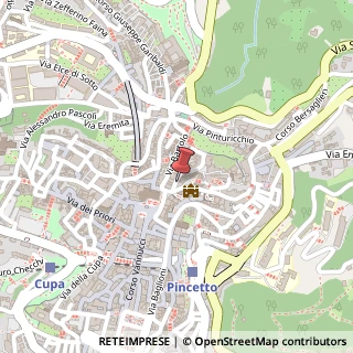 Mappa Piazza Piccinino, 13, 06122 Perugia, Perugia (Umbria)