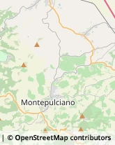 Assicurazioni Montepulciano,53045Siena