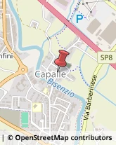 Cartolerie Campi Bisenzio,50013Firenze