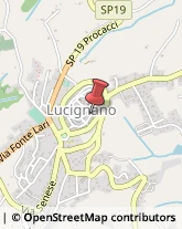 Ospedali Lucignano,52046Arezzo