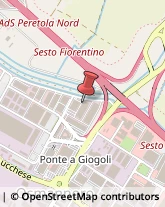 Pelletterie - Dettaglio Sesto Fiorentino,50019Firenze