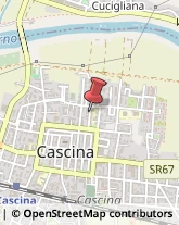 Tappezzieri Cascina,56021Pisa