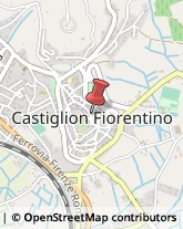 Organizzazioni, Associazioni ed Enti Internazionali Castiglion Fiorentino,52043Arezzo