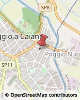 Paste Alimentari - Dettaglio Poggio a Caiano,59016Prato