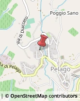 Appartamenti e Residence Pelago,50060Firenze