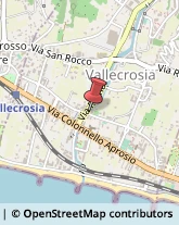 Istituti di Bellezza Vallecrosia,18019Imperia