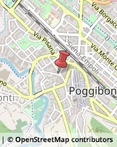 Massaggi Poggibonsi,53036Siena