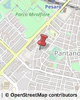 Pellicce e Pelli - Pulitura e Custodia Pesaro,61122Pesaro e Urbino