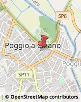 Tappeti Poggio a Caiano,59016Prato