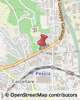 Elettrauto Pescia,51017Pistoia