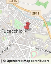 Frutta Secca Fucecchio,50054Firenze