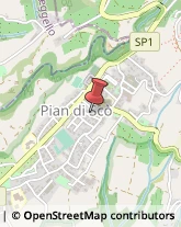 Enoteche Pian di Scò,52026Arezzo