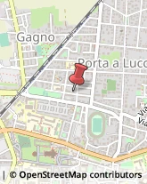 Subacquea Attrezzature Pisa,56123Pisa