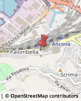 Trasporti Celeri Ancona,60126Ancona