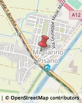 ,44027Pisa