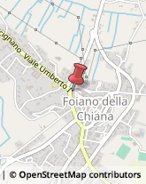 Gelaterie Foiano della Chiana,52045Arezzo