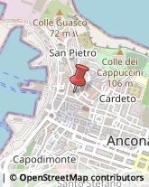 Ordini e Collegi Professionali Ancona,60121Ancona