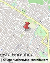 Consulenza alle Imprese e agli Enti Pubblici Sesto Fiorentino,50019Firenze