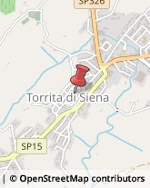 Agenti e Rappresentanti di Commercio Torrita di Siena,53049Siena